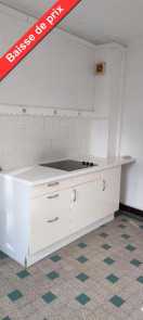 Appartement en vente &agrave; Grenoble / 2 pi&egrave;ces 55 m&sup2;